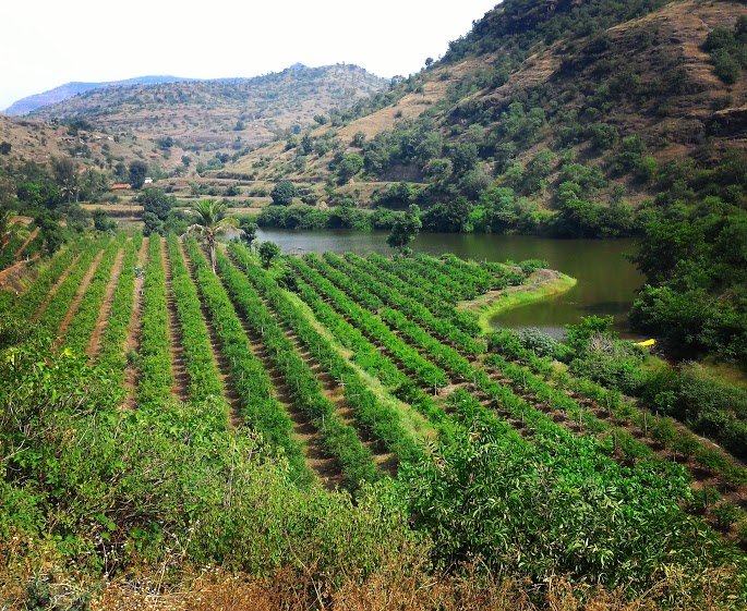 Enterprising Agriculturalists: Insights into agrarian prosperity from women’s perspectives