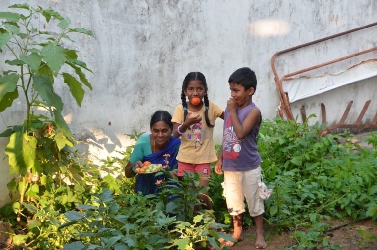 Annual Reports and FCRAs