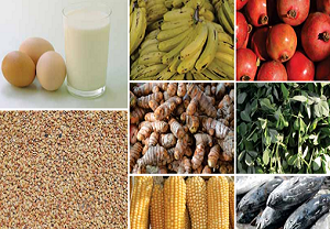 Health, Sanitation & Nutrition