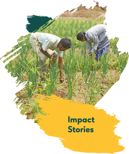 RAJASTHAN CASE STUDY