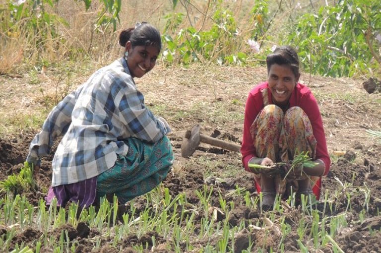 Annual Reports and FCRAs