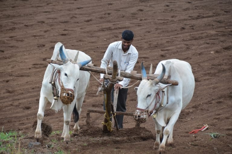 Annual Reports and FCRAs