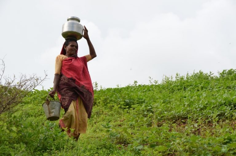 Annual Reports and FCRAs