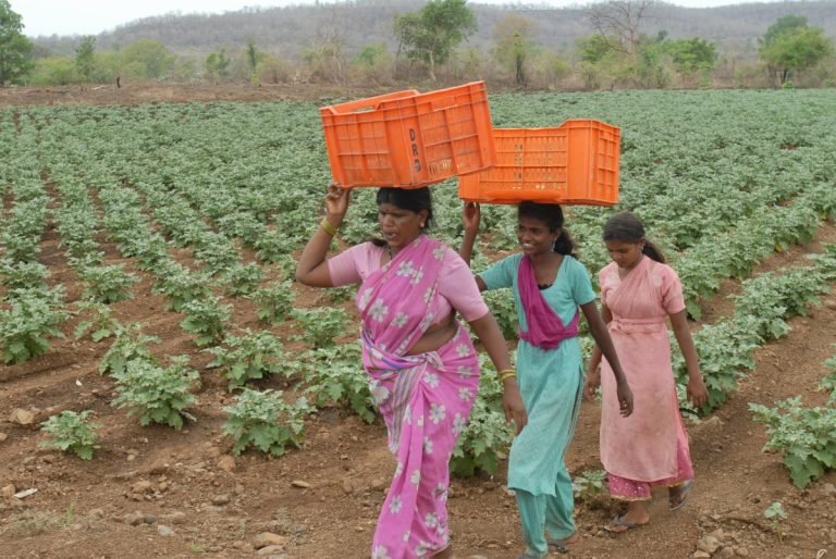 Annual Reports and FCRAs