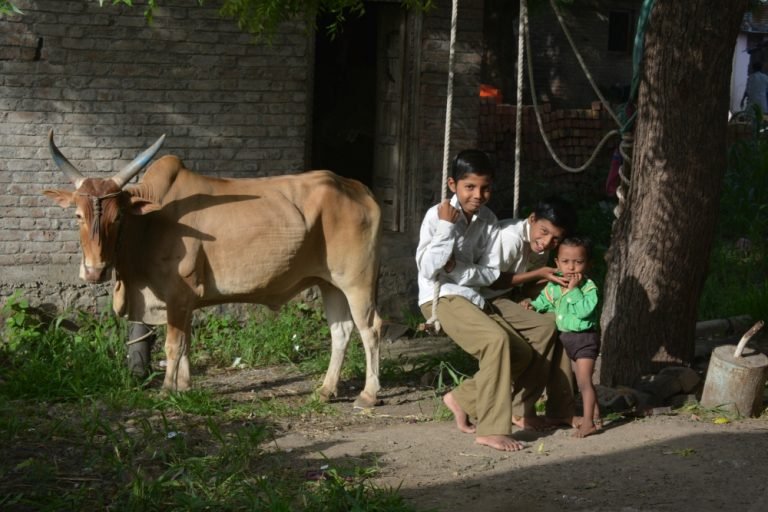 Annual Reports and FCRAs