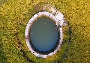 Training & Advisory Services