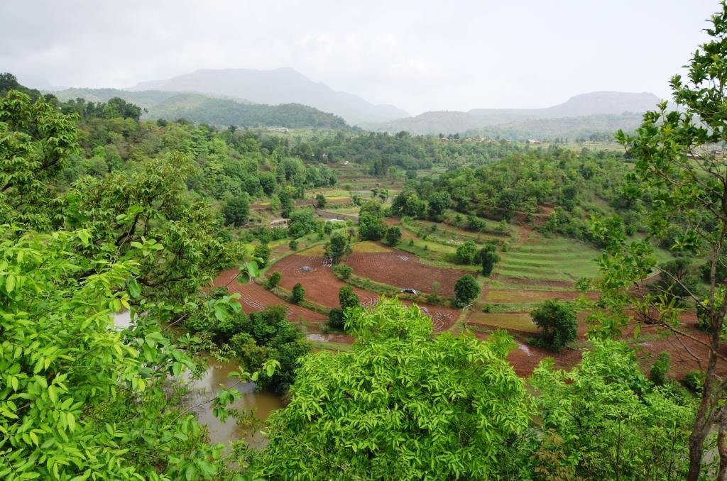 Biodiversity Conservation - India is home to thousands of species