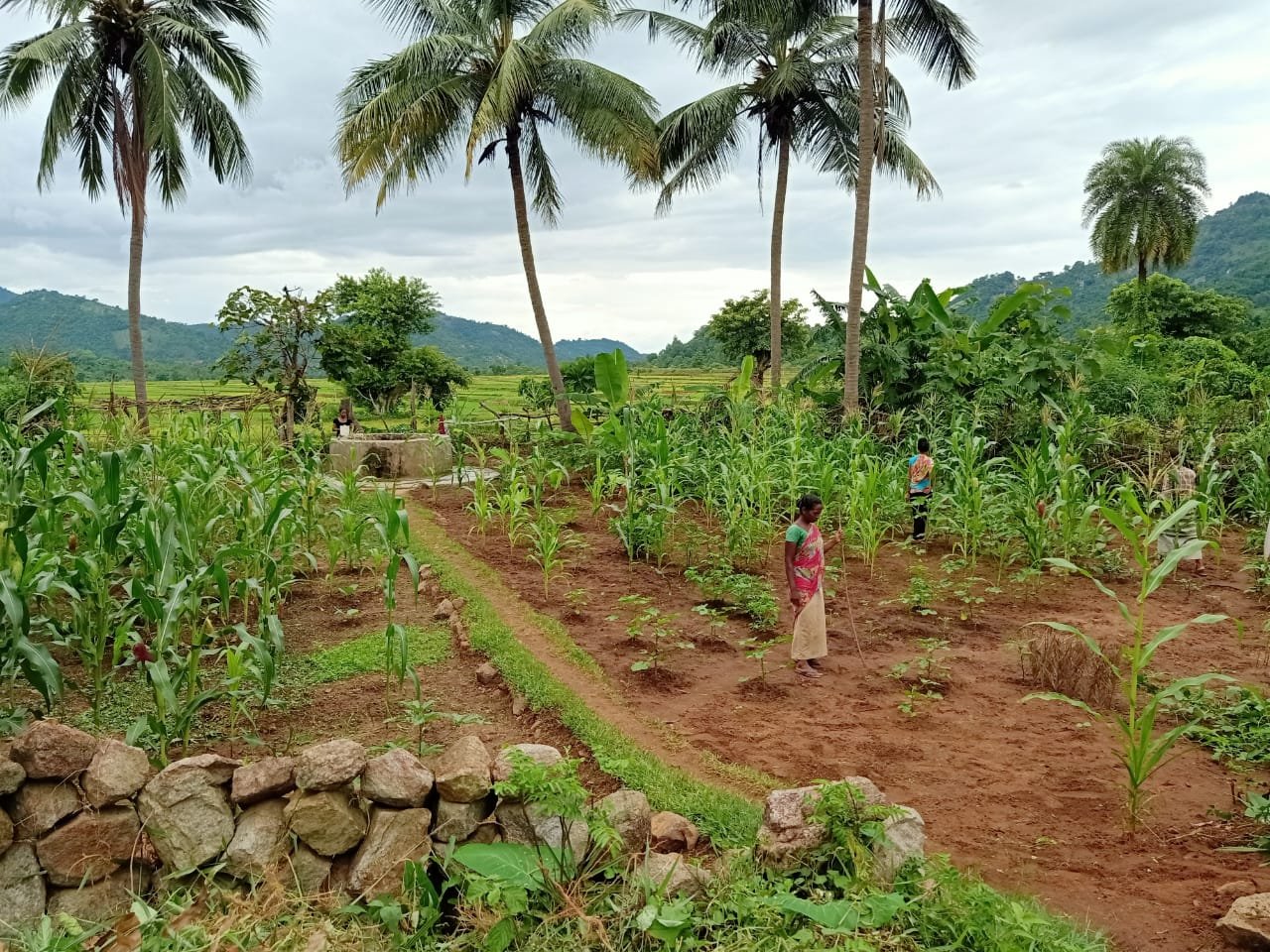 Ecosystem Restoration is a shared responsibility