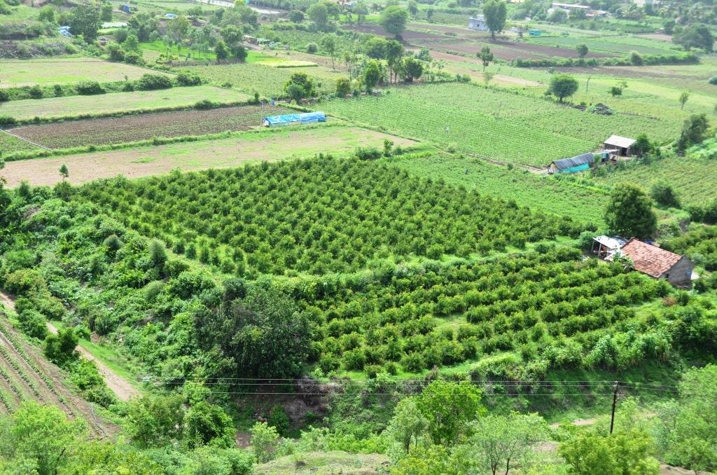 Only One Earth – Climate Change Adaptation with Ecosystem based Adaptation