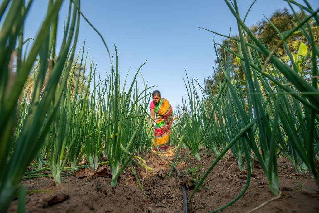 Care for nature | An eco-centric approach and colective action matters