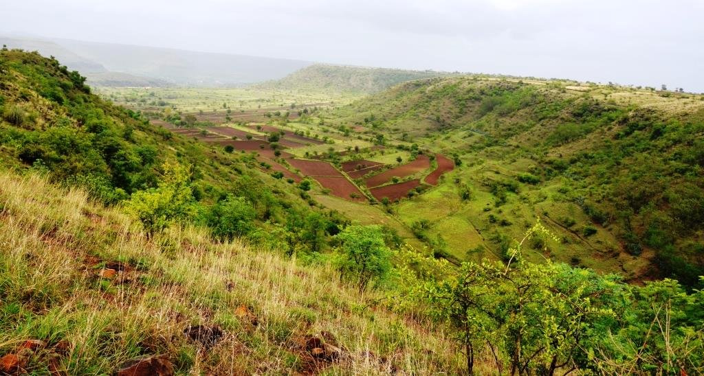 Ecosystem Restoration - A Must Do for Our Environment and Survival