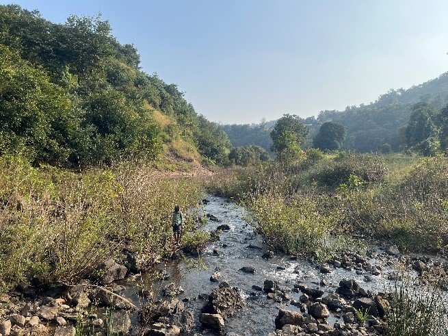 Importance of Conserving Riparian Ecotones in 2025