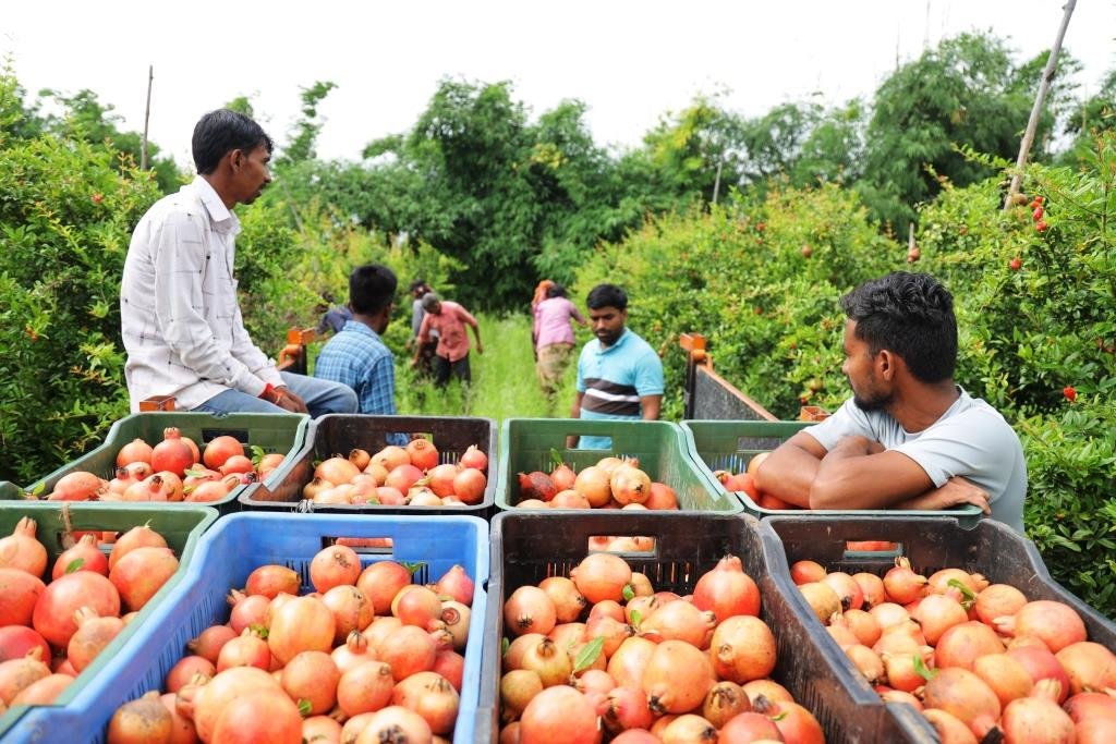 Using the Ecosystem to Improve the Income Resilience of Rural Communities