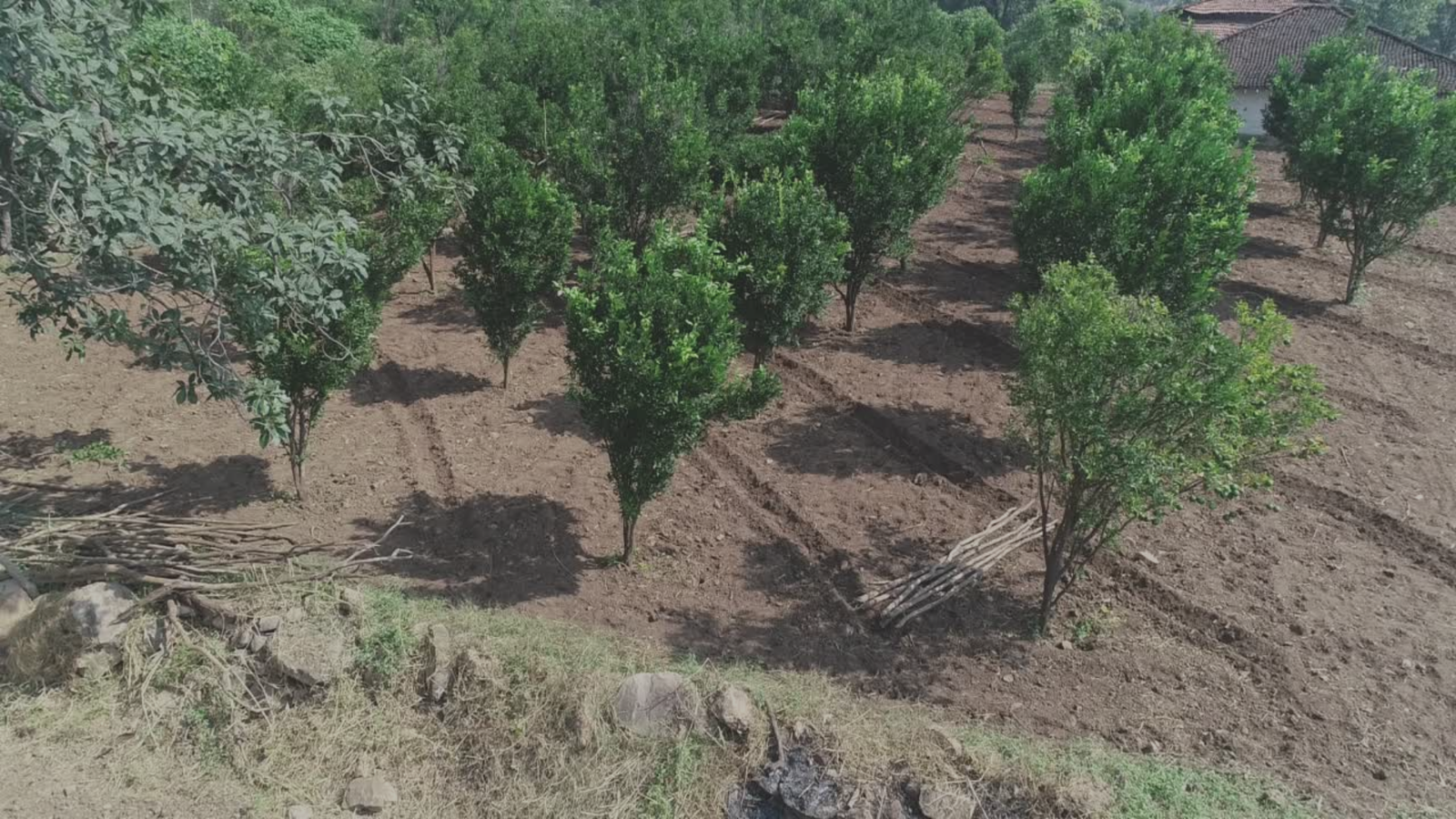 Revitalising Chhindwara Enhancing Sustainable Livelihoods through Natural Resource Management in 8 Villages of Madhya Pradesh