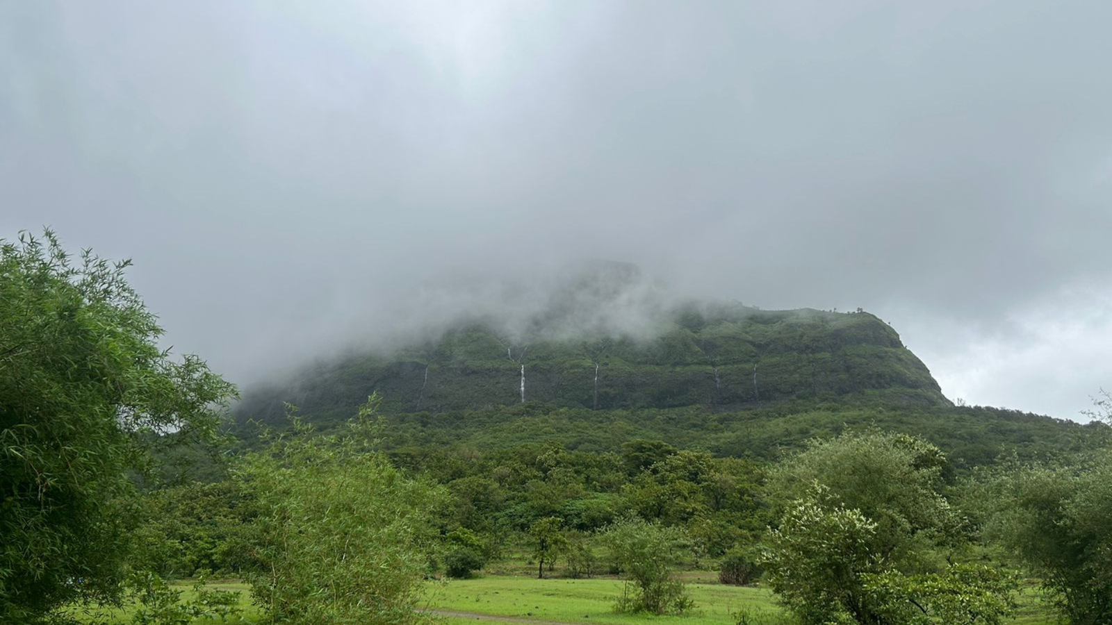 Monsoons & Maharashtra: Decoding the Role of Rainfall in Agriculture