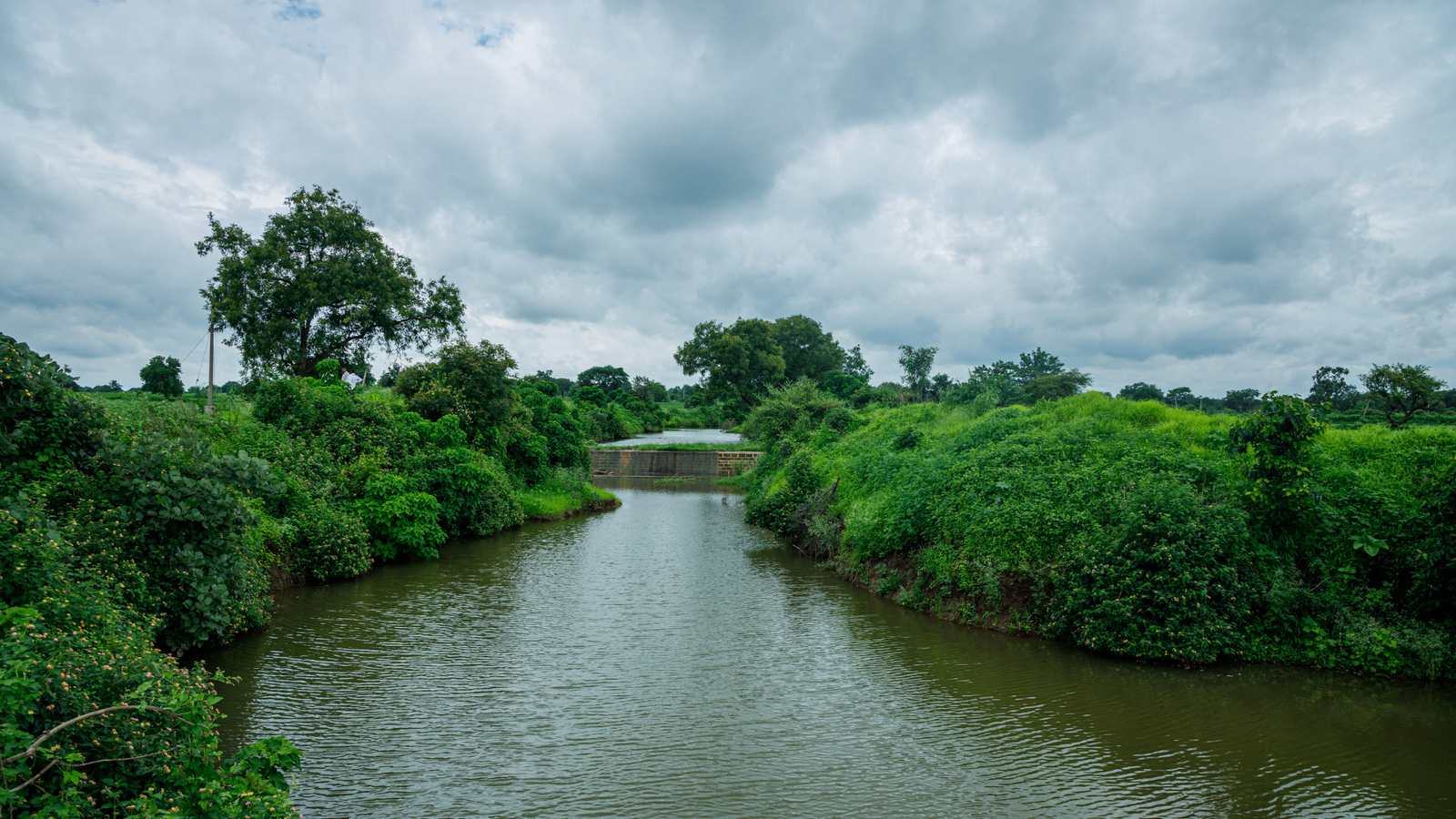 Community-Led Sustainable Management: The Digital Age