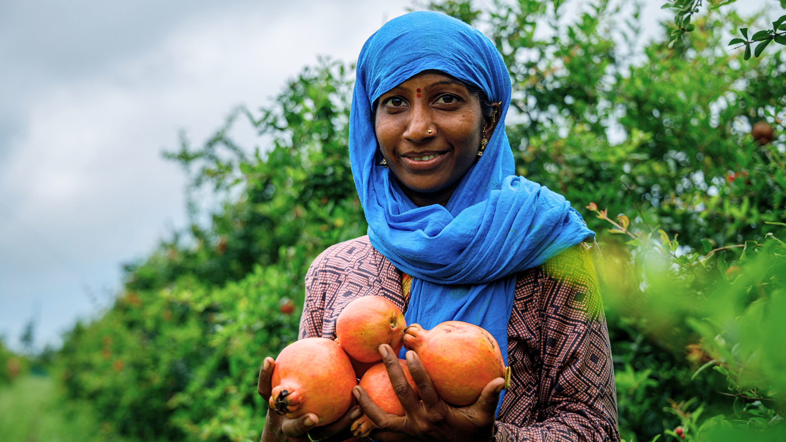 Reviving the Roots: WOTR & HDFC Bank's Partnership for Rural India