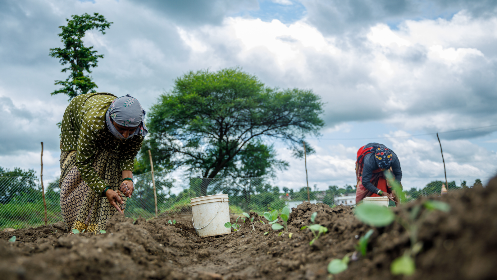WOTR and CRIDA sign Strategic MoU to Advance Dryland Agriculture