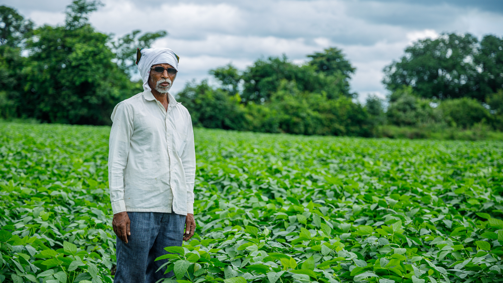 Maharashtra Government signs MoU with WOTR for Agricultural Resilience