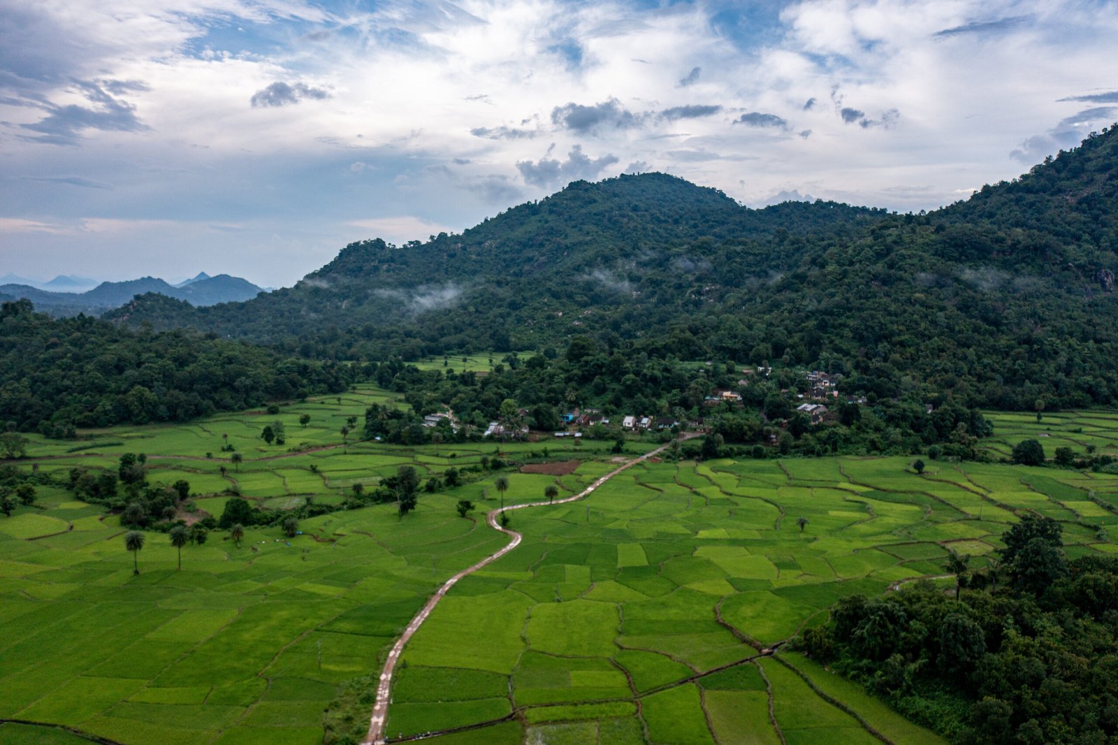 Why Environmental Sustainability is Important to Business: A Guide for Driving Success and Impact