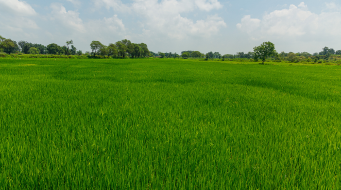 Enviroment-Sustainability