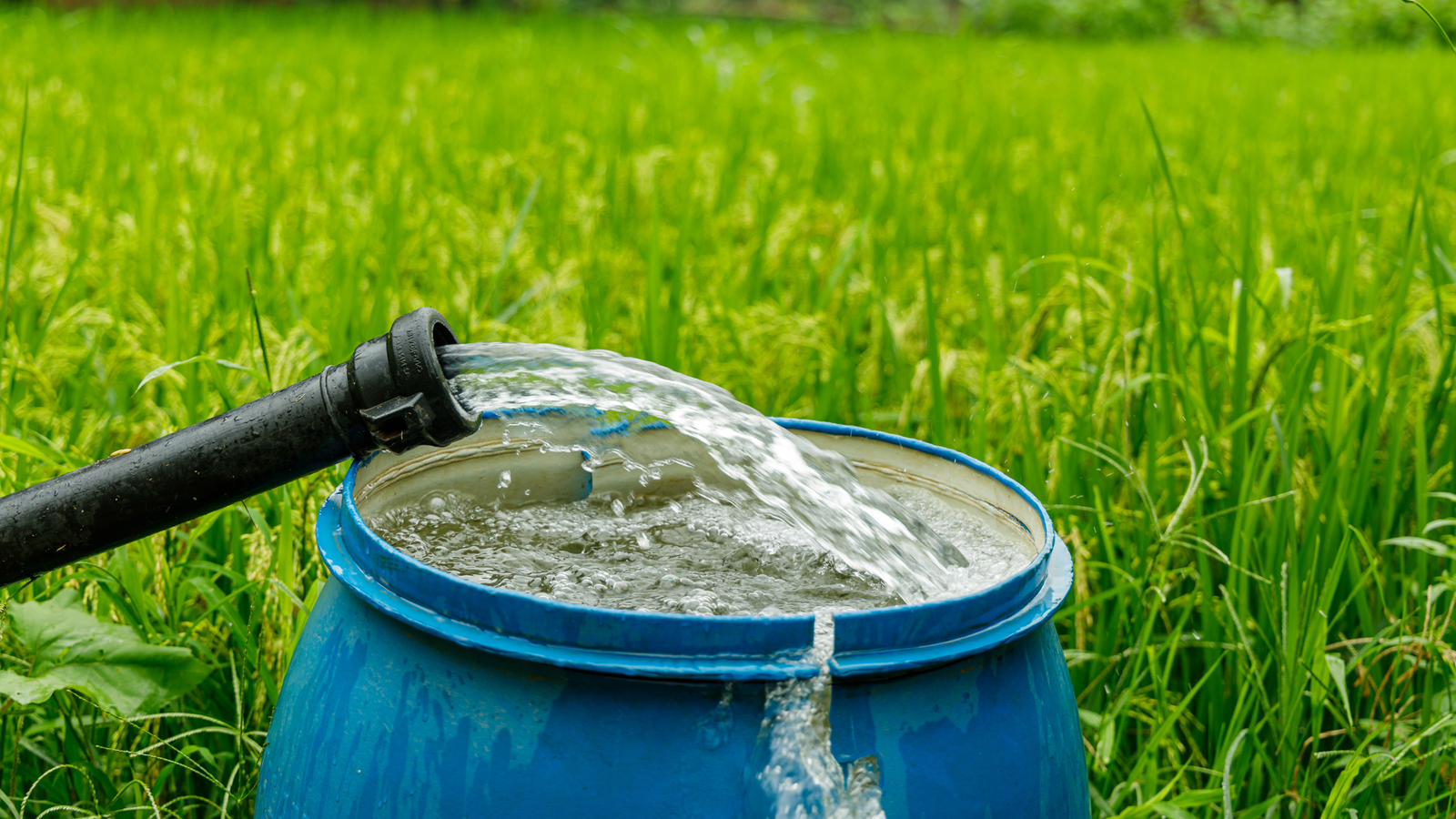 Transforming Lives through Water Management