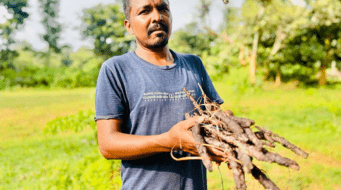 Lac-pati Farmers: How Systematic Lac Cultivation Turned This Marginal Farmer Into A Millionaire