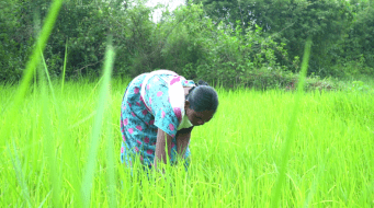 How A Simple Farm Pond Helped Paulina Mundu Realise Her Childhood Dream Of Farming