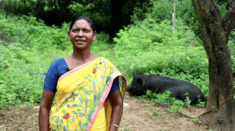 “Mota Paisa Issi Mein Hai”: Pig Farming Helps Bring Big Income To Small Farmers