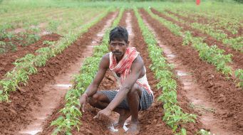 Covid-19 Forced This Autowallah To Grow Watermelons, He Now Makes Lakhs