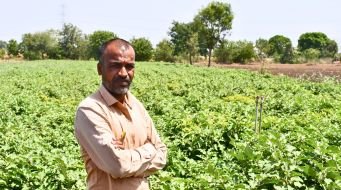 This Farmer Is Reaping Rich Harvests With Less Water