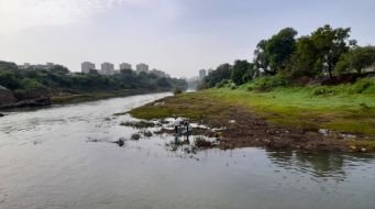 Don't Let India's Urban Wetlands Disappear