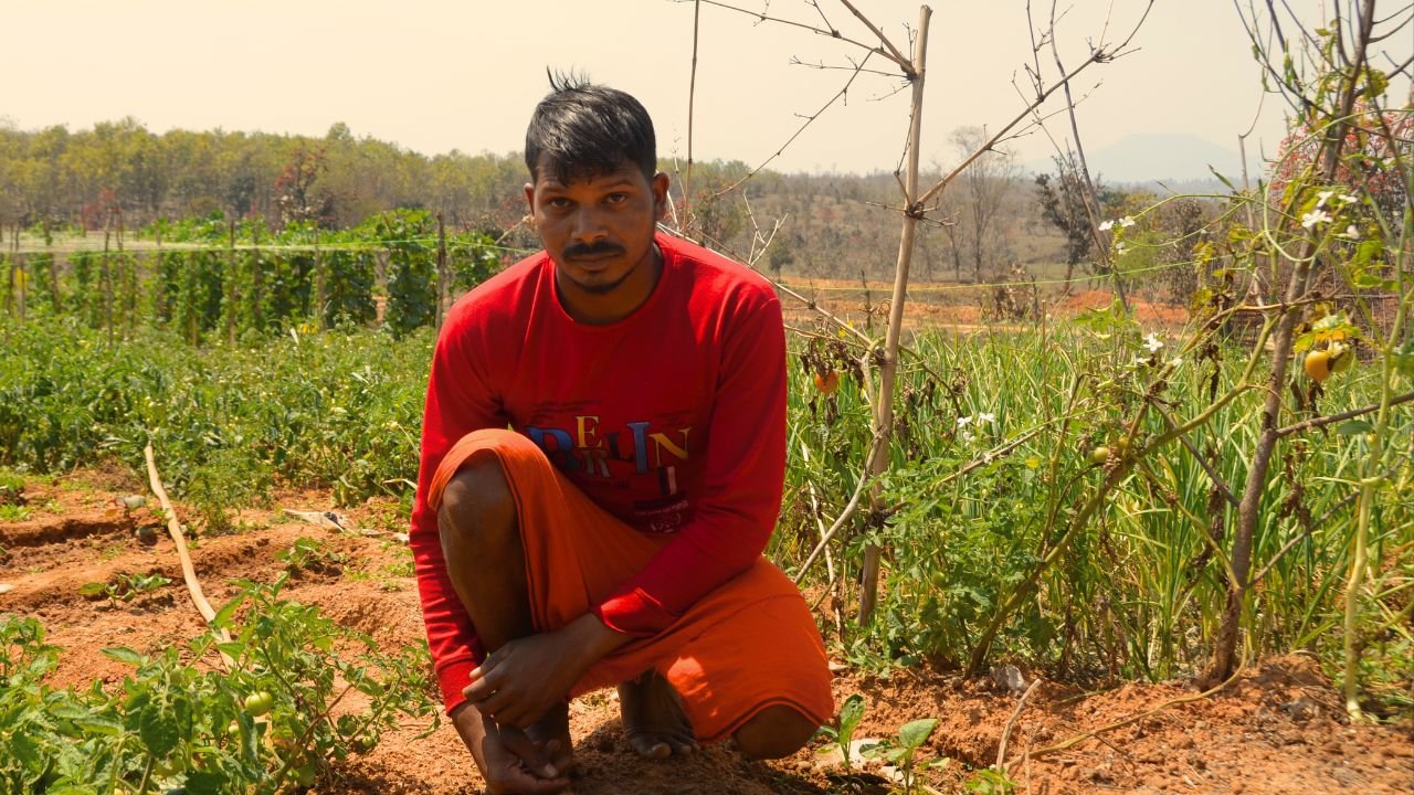 Levelled Land, Levelled Life!