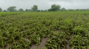 Floods in a Drought-Prone Land