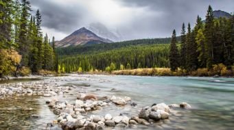 Beyond Food and Water: The Surprising Power of Provisioning Ecosystem Services