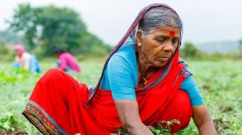 The Invisible Labourers: Why Women Farmers in India Rarely Receive Recognition for Their Work