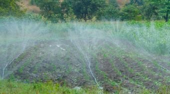 Transforming Groundwater Management through Collective Action: The Group Micro Irrigation Model