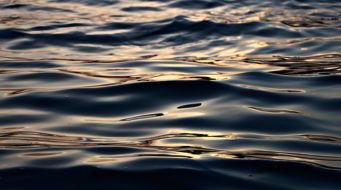 Transforming Water Management: A Call for Holistic Stewardship