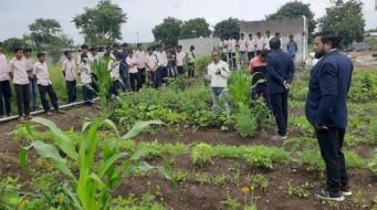 How a School in Maharashtra’s Jalna District is Leading the Way in Multilayer Farming