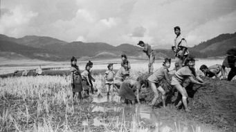 Guardians of the Land: Harnessing Traditional Knowledge for Biodiversity Conservation