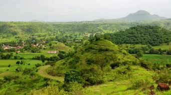 Green Revolution Through Barren Lands – Transforming India