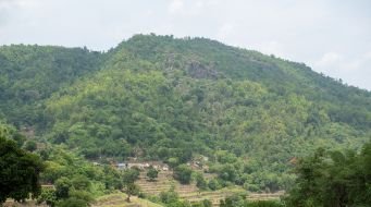 Maintaining Ecosystem Services and Biodiversity for Long-term Sustainability of Ecosystem