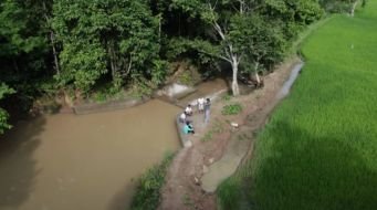 How Water Management is Transforming Livelihoods: A Story of Climate Resilience from Tribal Villages in Odisha, India