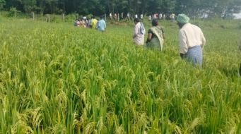 Heat India Agriculture