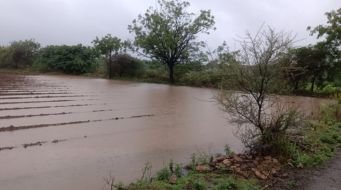 early monsoon, Maharashtra, agriculture