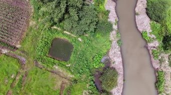 Watershed development