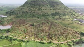 Ecology and land restoration