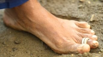 Soil health farming agriculture