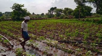 Watershed development in India