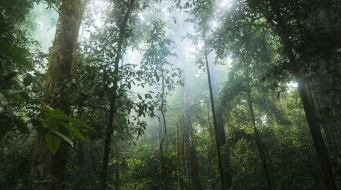 Nature-based Solutions